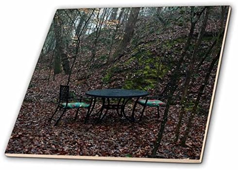 Триизмерна снимка на желязната маса и комплект столове, скрити в гората. - Плочки (ct_350300_1)