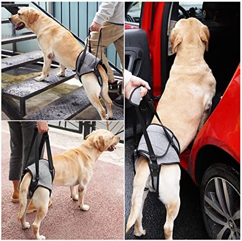 Куче шлейка Dotoner за подкрепа на задните крайници големи кучета за рехабилитация на задните крайници възрастни кучета със слаби