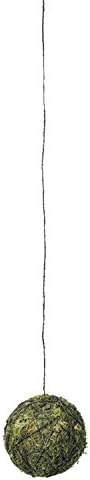 アスカ (Roza) asca A-15666-018 Висящи Топка от мъх, диаметър 3.1 инча (8 см)